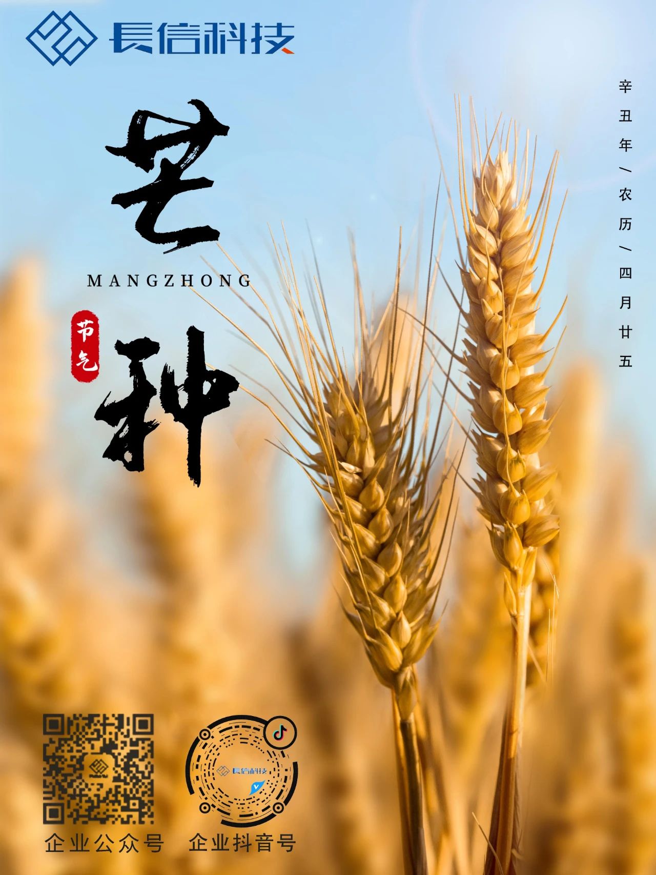微信图片_20250724075930.jpg