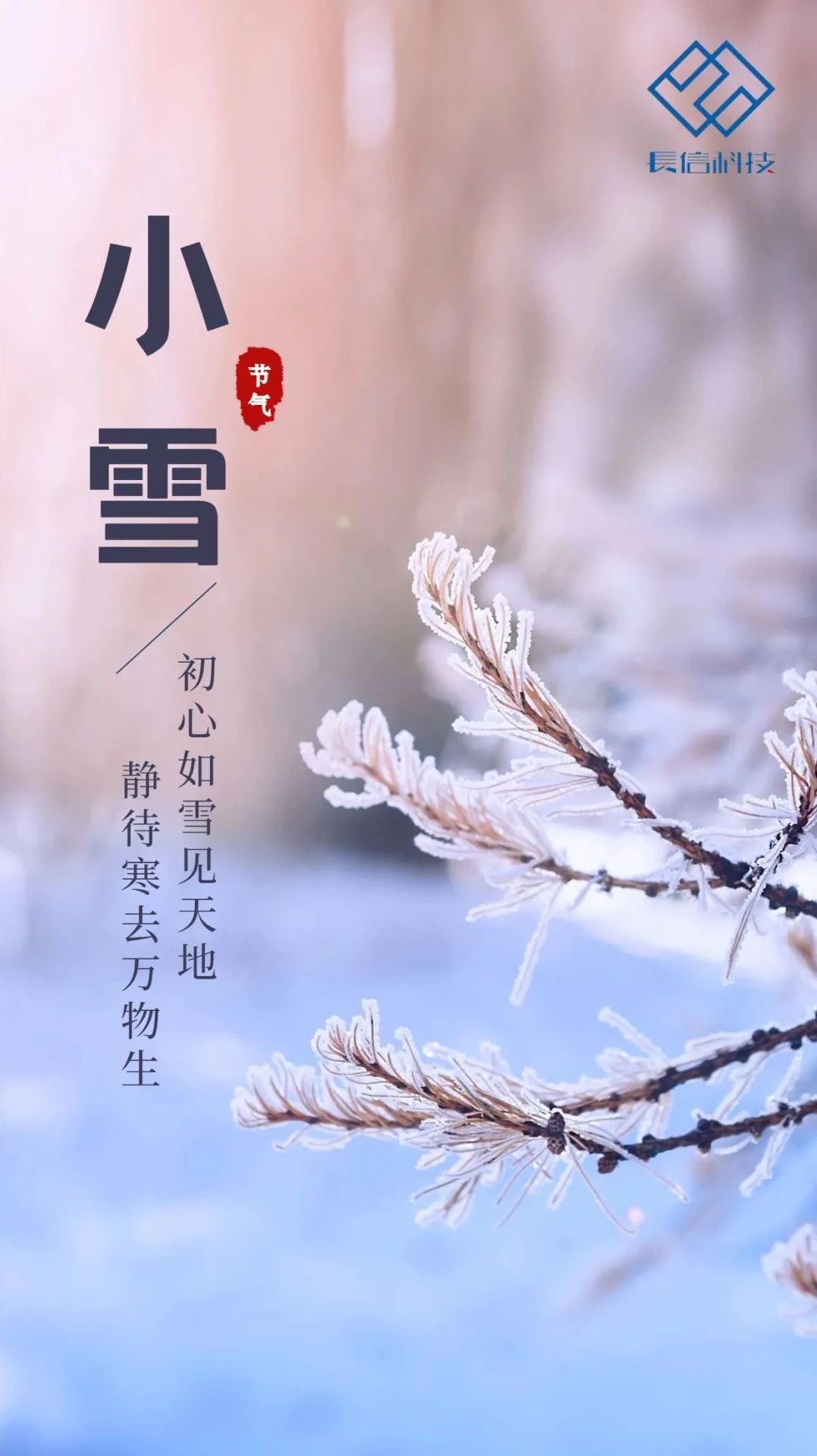 微信图片_20250725144148.jpg