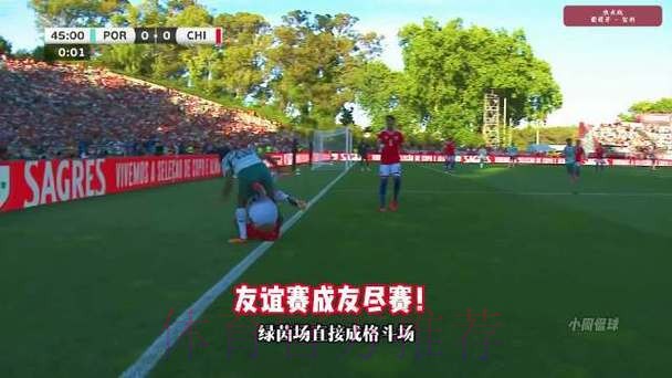 葡萄牙2-1智利 B费世界波制胜 C罗进球被吹 莱奥与对手互殴皆染红 葡萄牙2-1智利 B费世界波制胜 C罗进球被吹 莱奥与对手互殴皆染红